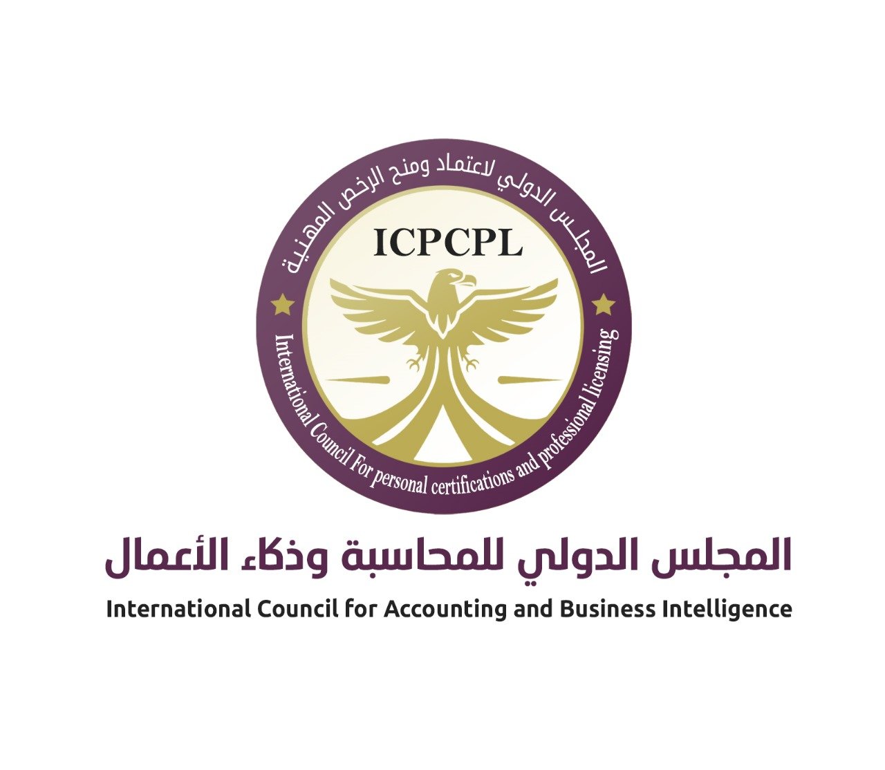 International Council for Accounting and Business Intelligence